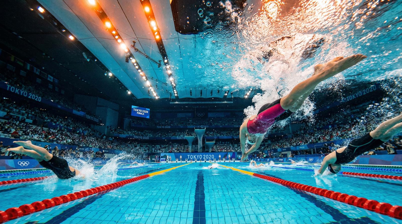 免费看片水下摄影视频